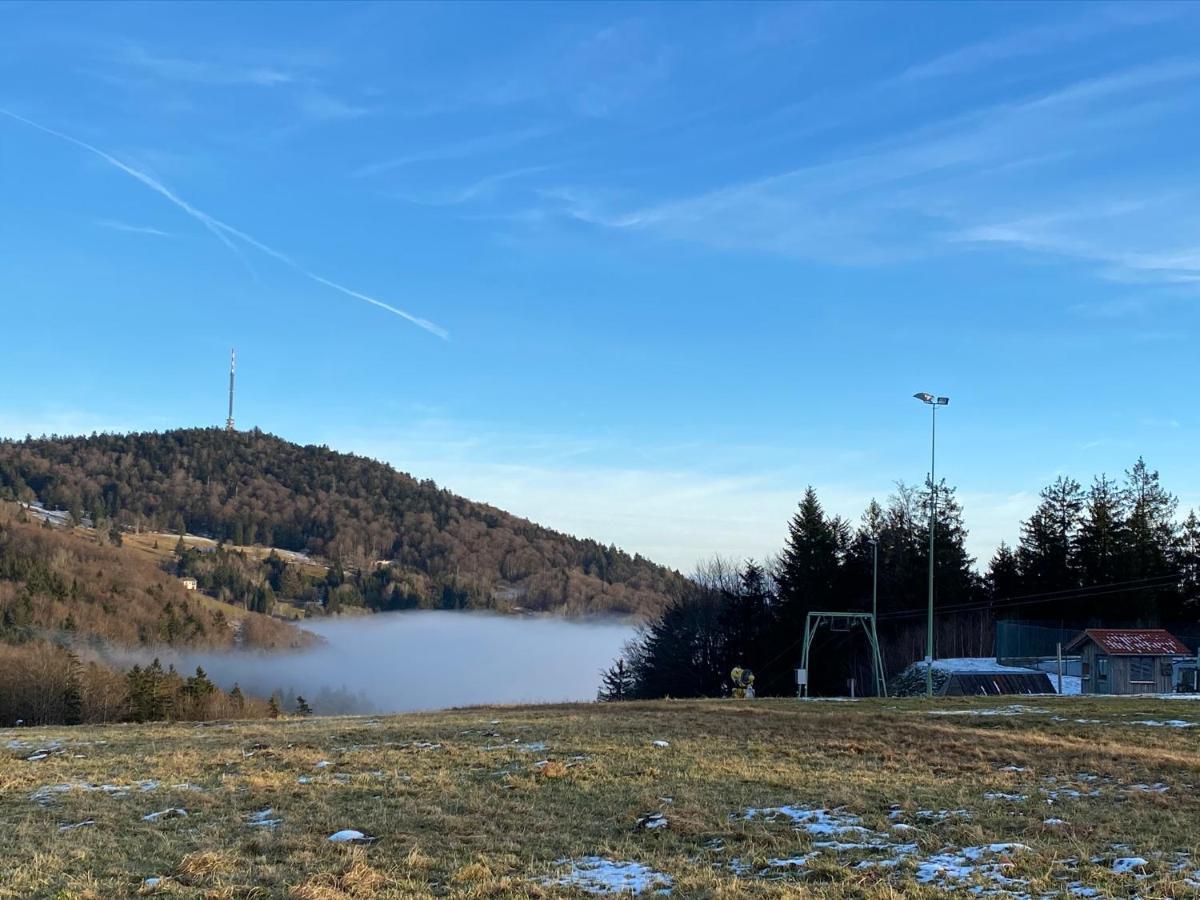 Schöfweg Mitten Im Bayerischen Wald-95M² Wohnung + *Netflix* Direkt Am Skilift! מראה חיצוני תמונה