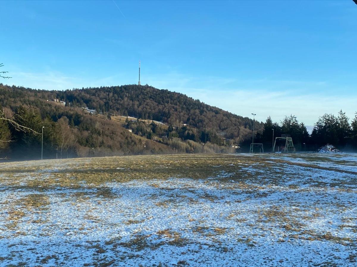 Schöfweg Mitten Im Bayerischen Wald-95M² Wohnung + *Netflix* Direkt Am Skilift! מראה חיצוני תמונה