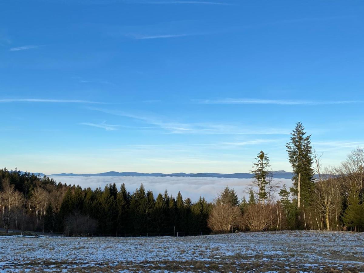 Schöfweg Mitten Im Bayerischen Wald-95M² Wohnung + *Netflix* Direkt Am Skilift! מראה חיצוני תמונה
