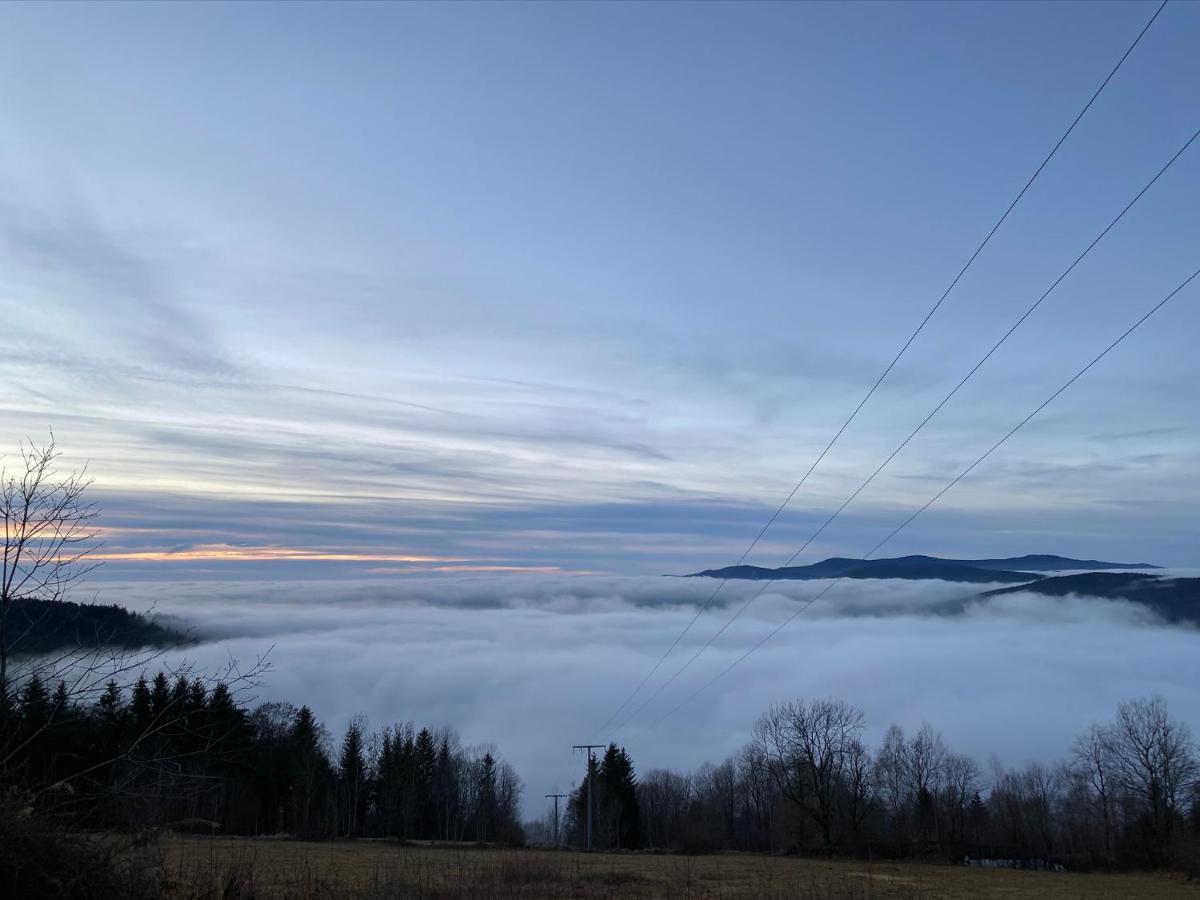 Schöfweg Mitten Im Bayerischen Wald-95M² Wohnung + *Netflix* Direkt Am Skilift! מראה חיצוני תמונה