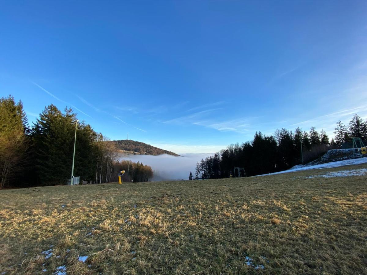 Schöfweg Mitten Im Bayerischen Wald-95M² Wohnung + *Netflix* Direkt Am Skilift! מראה חיצוני תמונה