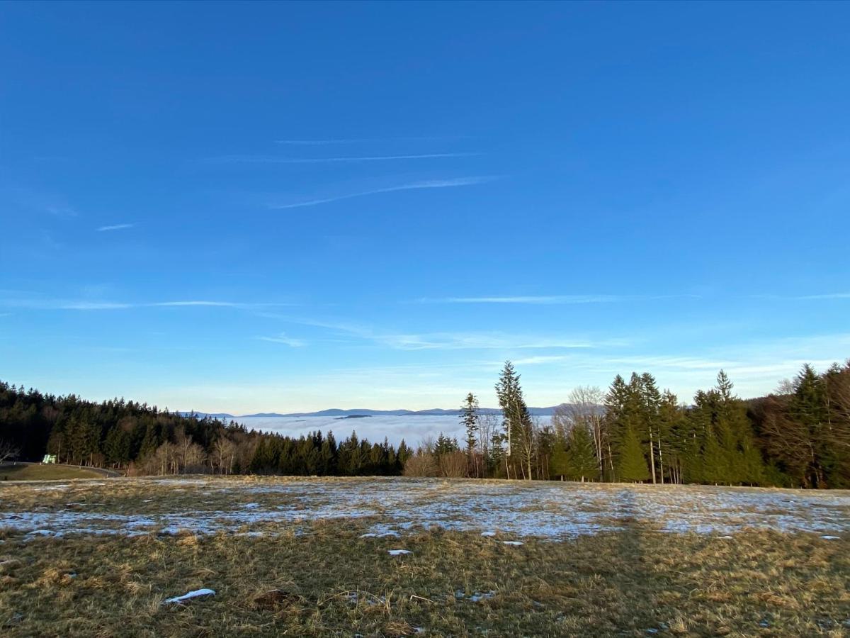 Schöfweg Mitten Im Bayerischen Wald-95M² Wohnung + *Netflix* Direkt Am Skilift! מראה חיצוני תמונה