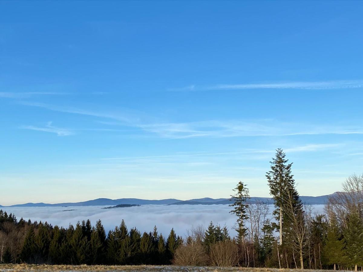 Schöfweg Mitten Im Bayerischen Wald-95M² Wohnung + *Netflix* Direkt Am Skilift! מראה חיצוני תמונה